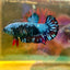 Avarta Nebula Plakat - Female Betta 118