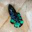 Avarta Nebula Plakat - Female Betta