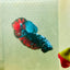 Avarta Nebula Plakat - Male Betta 039