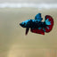Avarta Nebula Plakat - Male Betta 097