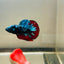 Avarta Nebula Plakat - Male Betta 097