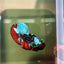 Avarta Nebula Plakat - Male Betta A88