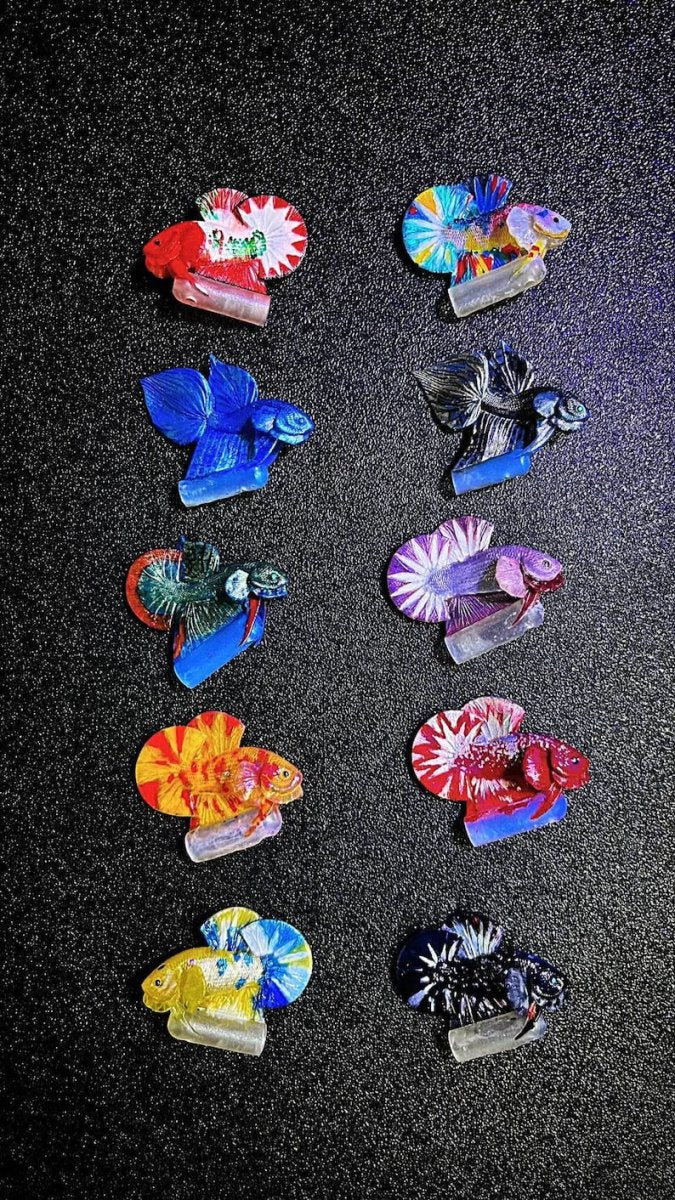 Betta Fish Flare Stick | Hand-Painted 3D Printed Betta Exercise Toy | Aquarium Enrichment for Betta Fish Care & Health