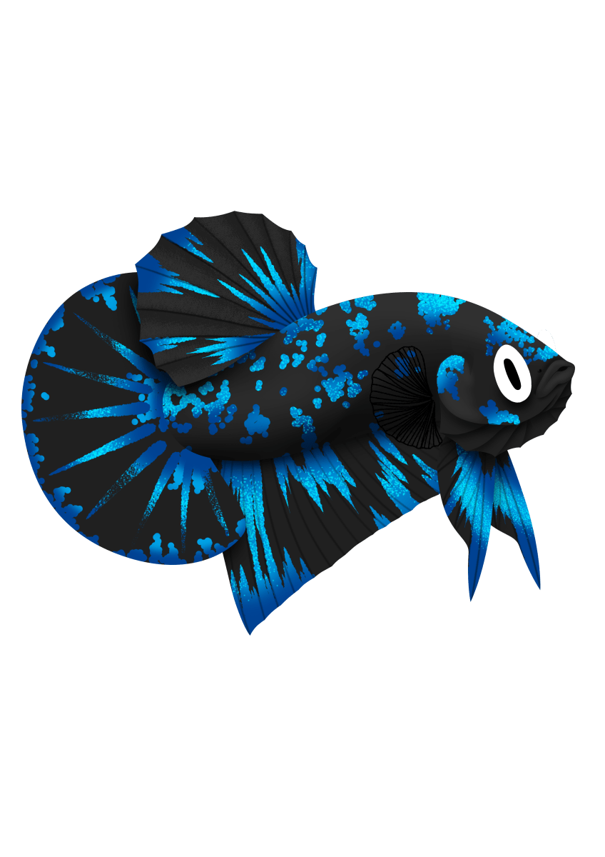 Betta Fish Stickers