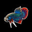 Betta Fish Stickers
