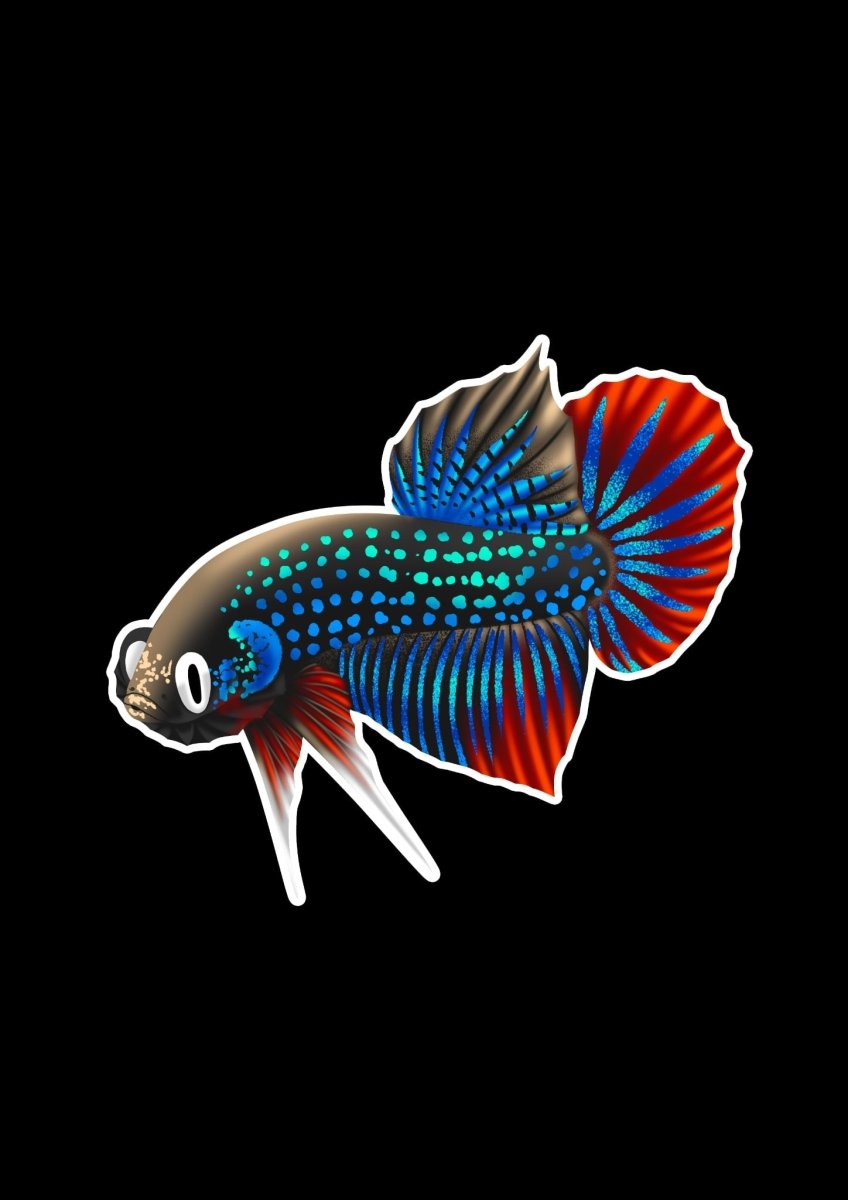 Betta Fish Stickers