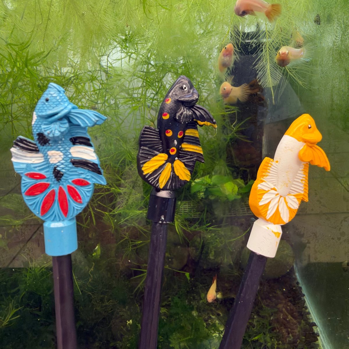 Betta Flare Stick