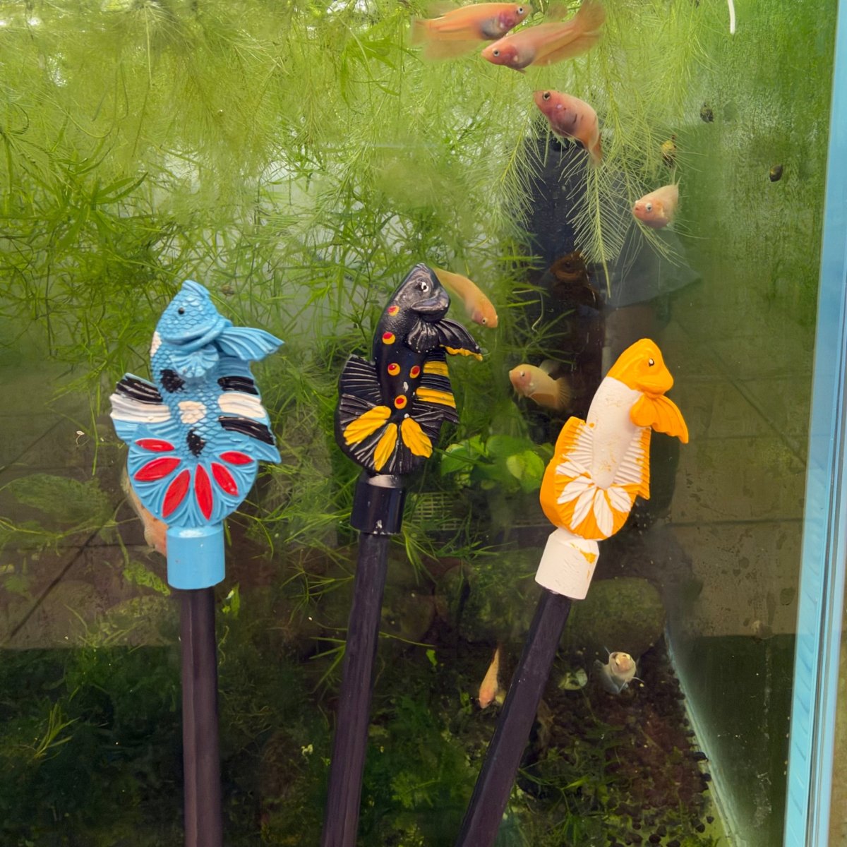 Betta Flare Stick