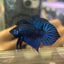 Betta Mahachai Blue Spade Tail Male 161 Male betta