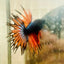 Betta Male Crowntail Orange Black 029
