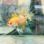 Betta Male Crowntail Orange Koi 084