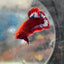 Betta Male Plakat Red Fancy Hellboy 197