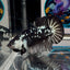 Black Mamba A34 Plakat - Male Betta