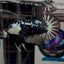 Black Mamba A71 Plakat - Male Betta