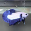 Blue Rim Plakat - Betta