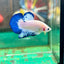 Blue Rim Plakat - Male betta 36