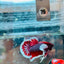 Dumbo Ear Lavender Plakat - Male Betta 079 Male betta