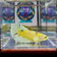 Dumbo Koi green eye A134 Plakat - Female Betta