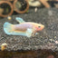 Dumbo Pineapple Plakat Female Betta