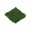 Fissidens Fontanus on Stainless Steel | Phoenix Moss Live Aquarium Plant Live Aquarium Plant 3x3 Stainless Steel Pad Aquascaping