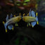 Gertrudae Rainbow - Nano Fish