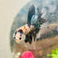 Halfmoon Koi Copper Male Betta 119