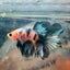 Halfmoon Koi Multicolor Male Betta 122