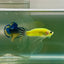 Halfmoon Pure Green Eye Male Betta Jul09 Male betta