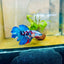 Halfmoon Red Koi Galaxy Female Betta 080 Female betta