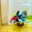 Halfmoon Red Koi Galaxy Female Betta 164 Live Betta Fish Female betta