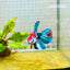 Halfmoon Red Koi Galaxy Female Betta 164 Live Betta Fish Female betta