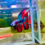Halfmoon Red Koi Galaxy - Male Betta 139 Live Betta Fish Male betta