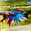 Halfmoon Red Koi Galaxy - Male Betta A225 Live Betta Fish Male betta