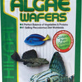 Hikari Algae Wafers Rapidly Sinking Wafer Fish Food