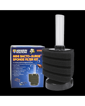 Hikari Bacto-Surge Sponge Filter Mini for Sale | Aquarium Filter Aquarium Filter Air Pump Filter