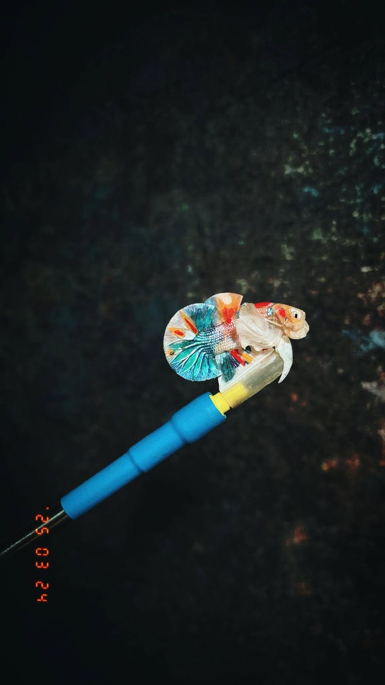 Betta flare stick with 3D printed handle