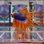 Mascot Orange Crowntail Halfmoon A144 - Male Betta
