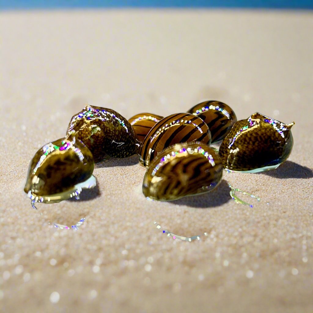 Caracoles Nerite