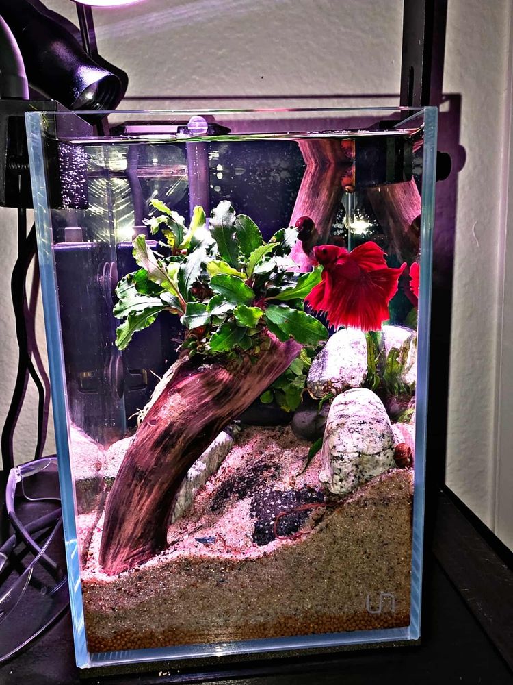 New to Fish Keeping?