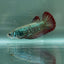 Plakat Alien Samurai Female Betta Au85 Female betta