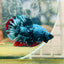 Plakat Avarta Male Betta 019