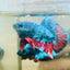 Plakat Avarta Male Betta 191