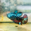 Plakat Avarta Nebula Female Betta 117