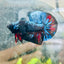 Plakat Avarta Nebula Male Betta 077
