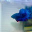 Plakat Avarta Nebula Male Betta 159 Male betta