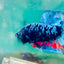 Plakat Avarta Nebula Male Betta Ma29 Male betta