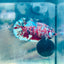 Plakat Barongsai Female Betta 184 Female betta