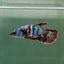 Plakat Barongsai Female Betta Jul15 Female betta