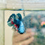 Plakat Blue Avarta Male Betta 069