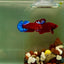 Plakat Bluetail Red Fancy Female Betta J48